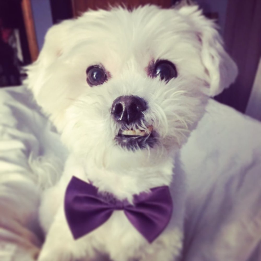 Meet your Posher, Redtales